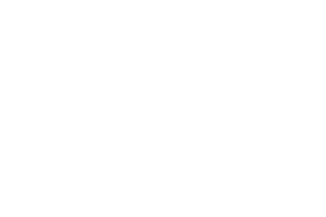 ICEBUG