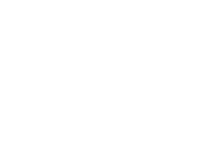 MOUNTAIN FORCE