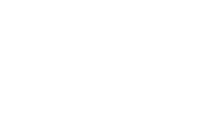 HEAD