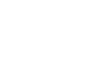 BOLLÉ