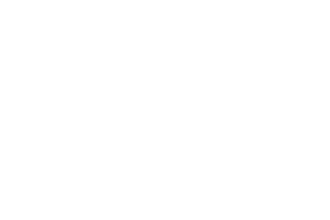 X-BIONIC