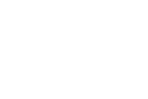 ICEBREAKER